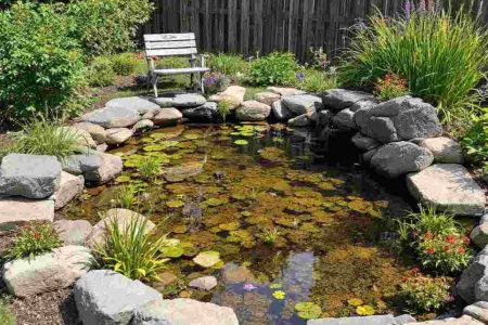 small f5oht yard pond​