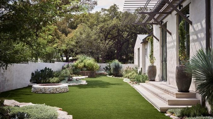Using Native Plants in Your Landscaping for a Low-Maintenance Yard in Texas