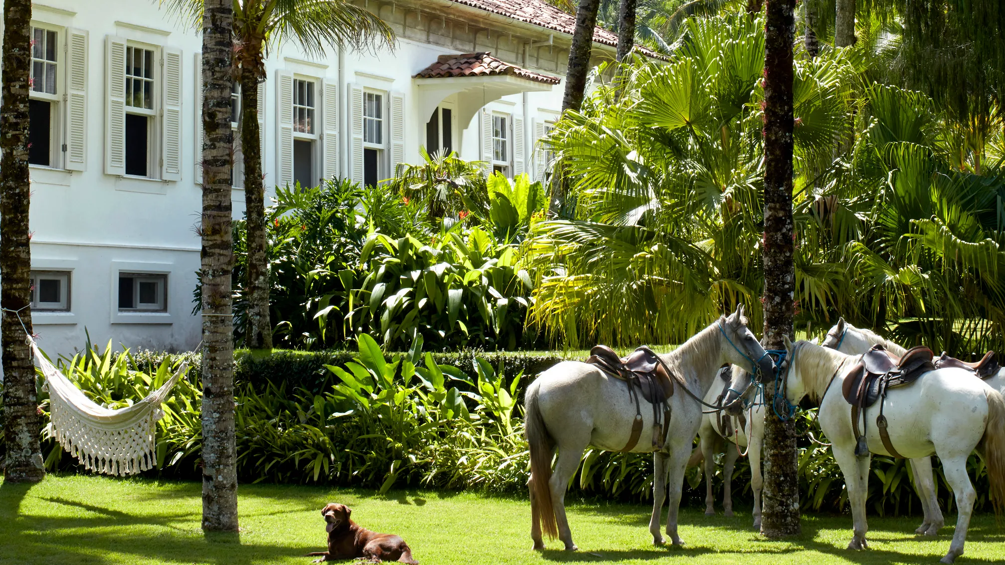 Inside Lenny Kravitz's Stunning Brazilian Home: A Photo Tour - Sheds Home