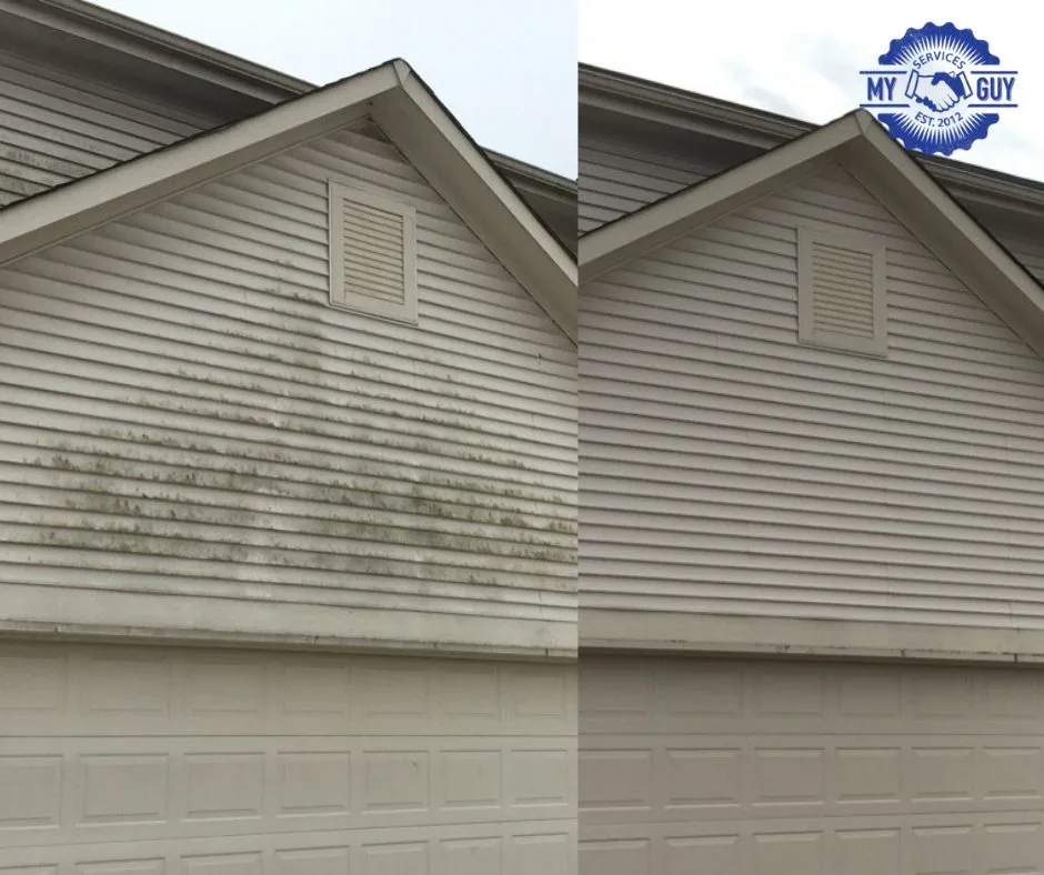 How to Safely Remove Mold and Mildew from Your House's Exterior - Sheds ...