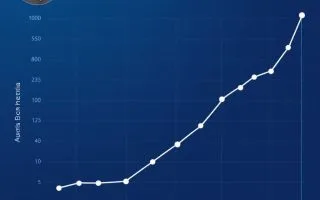alim ahsy net worth