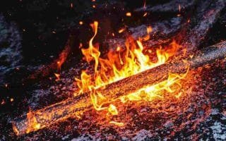 magic steel alksnis net worth