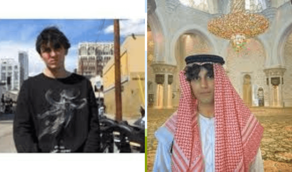 arya toufanian net worth