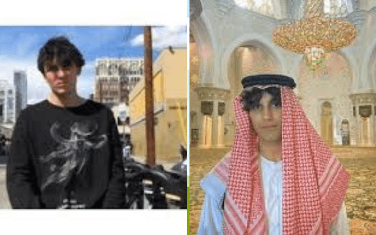 arya toufanian net worth