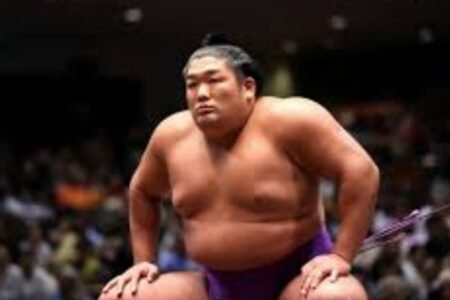 terunofuji net worth