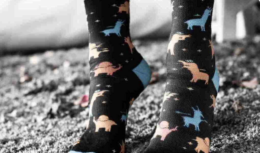 apolla socks net worth