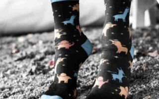 apolla socks net worth