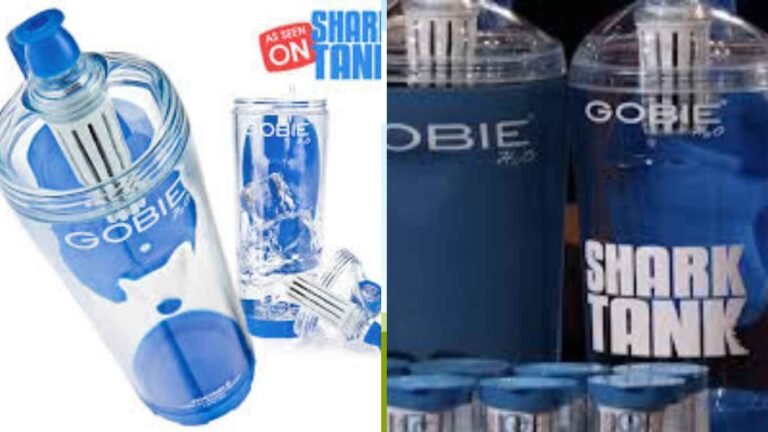 gobie water bottle net worth