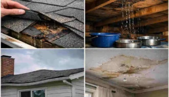 when to repair your roof
