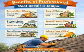 benefits of professional roof repair in tampa