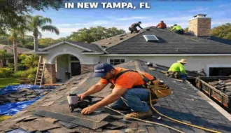 asphalt shingle roof replacement new tampa fl