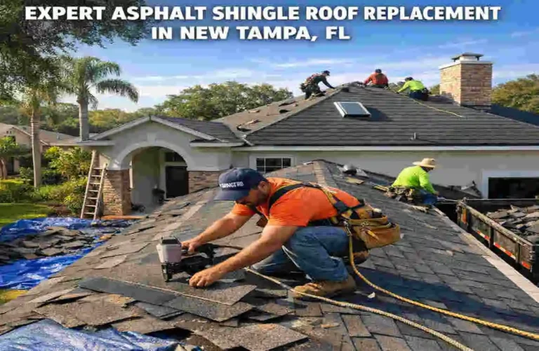 asphalt shingle roof replacement new tampa fl