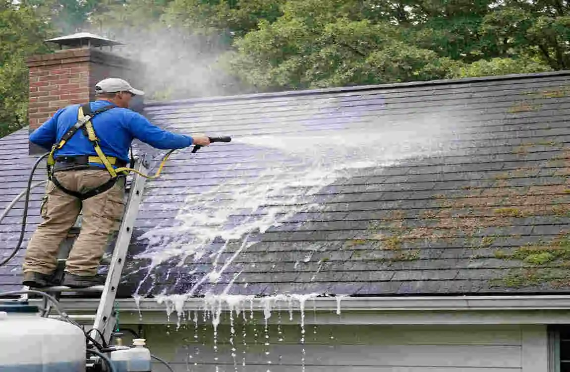 what exactly is soft-washing a roof
