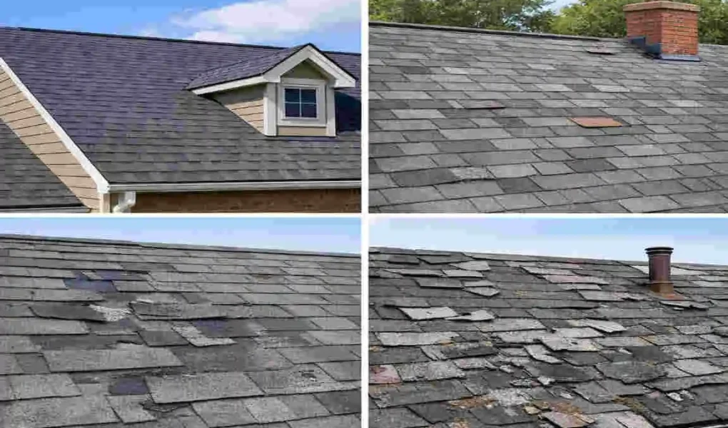 how long do shingle roofs