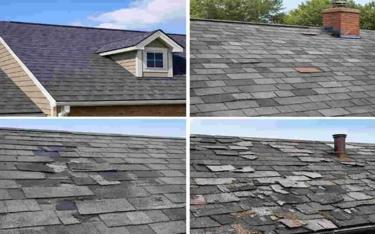 how long do shingle roofs