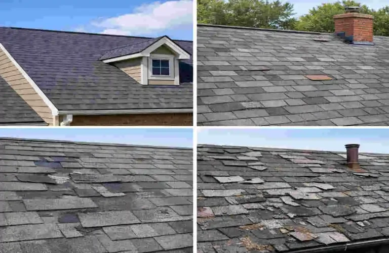 how long do shingle roofs