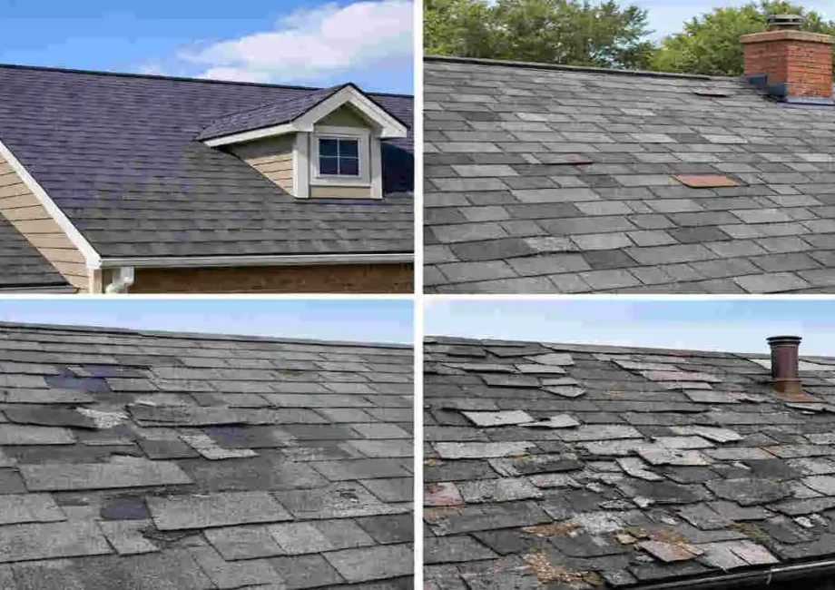 how long do shingle roofs