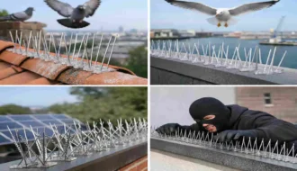 what are the spikes on roofs dor